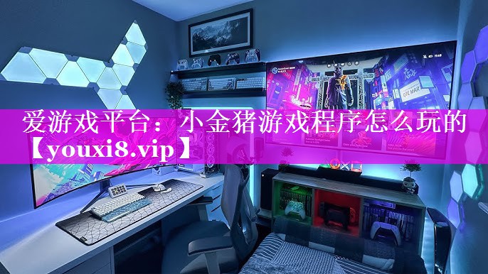 小金猪游戏程序怎么玩的 小金猪游戏程序怎么玩的