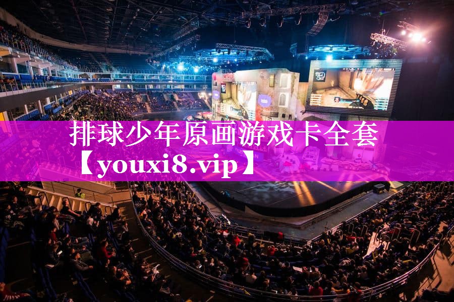 排球少年原画游戏卡全套 排球少年原画游戏卡全套